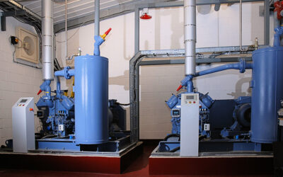Dairy Factory