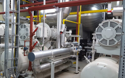 Ammonia Spiral freezer/Chilled water system